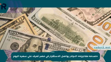 «صدمة مفاجئة» الدولار يواصل الاستقرار في مصر تعرف على سعره اليوم
